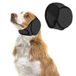 Los Mejores Cascos Antiruido para Perros: Análisis y Comparativa para Hípica y Bienestar Animal