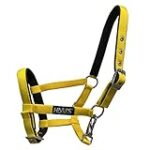 Guía Completa de las Partes de la Cabezada de un Caballo: Comparativa de los Mejores Modelos del Mercado Guía Completa de las Partes de la Cabezada de un Caballo: Comparativa de los Mejores Modelos del Mercado