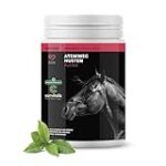 Maximiza el Rendimiento de Tu Caballo: Análisis de los Mejores Suplementos para Pulmones de Caballo Maximiza el Rendimiento de Tu Caballo: Análisis de los Mejores Suplementos para Pulmones de Caballo