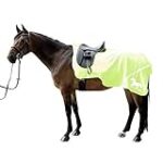 Las Mejores Mantás Riñoneras para Jinetes: Análisis y Comparativa de Productos Esenciales en Hípica