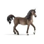 Los Mejores Productos de Hípica para Caballos Árabes: Análisis y Comparativa de Equipamiento Esencial