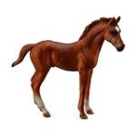 Caballos Españoles Pura Sangre: Análisis Comparativo de los Mejores Equipos y Productos de Hípica para Potenciar su Rendimiento