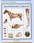 Conociendo la Anatomía del Caballo: Análisis y Comparativa de los Mejores Productos de Hípica para su Cuidado y Bienestar Conociendo la Anatomía del Caballo: Análisis y Comparativa de los Mejores Productos de Hípica para su Cuidado y Bienestar