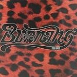 Los Mejores Productos de Hípica para Pura Sangre: Análisis y Comparativa de Equipamiento Esencial