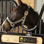 Los Mejores Caballos Famosos: Análisis de Nombres Legendarios y Su Impacto en los Productos de Hípica Los Mejores Caballos Famosos: Análisis de Nombres Legendarios y Su Impacto en los Productos de Hípica