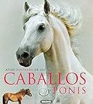 Los Mejores Libros sobre Caballos: Análisis y Comparativa de Lecturas Esenciales para los Amantes de la Hípica