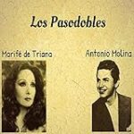 Rejón de Muerte: Análisis y Comparativa de los Mejores Productos de Hípica para una Monta Segura