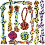 Las Mejores Cuerdas para Perros: Análisis y Comparativa para Jinetes que Aman a Sus Mascotas