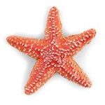 Análisis de Papo Figuras: Las Mejores Réplicas de Hípica para Coleccionistas y Entusiastas